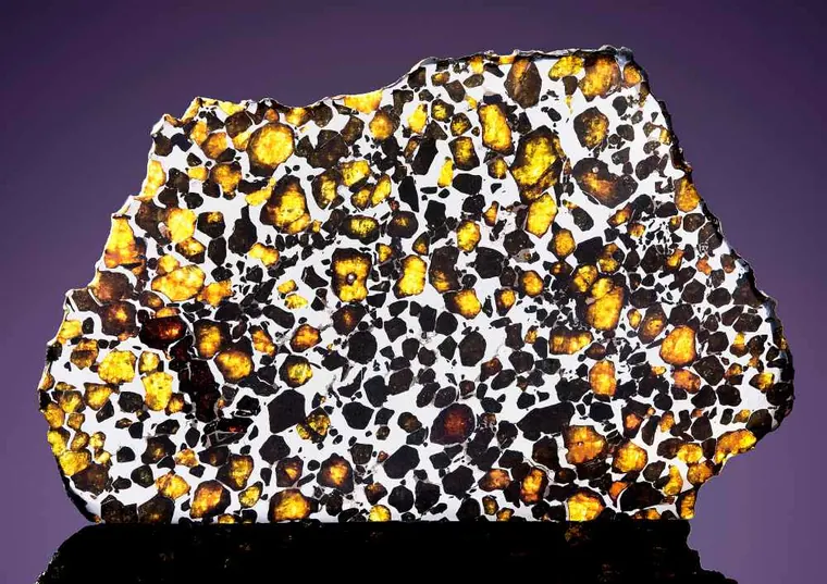 Polished slice of a pallasite meteorite showing olivine in an iron-nickel matrix
